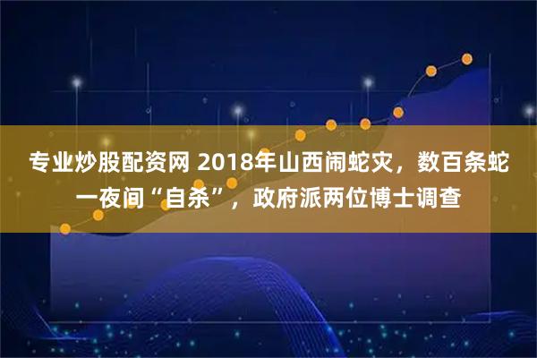 专业炒股配资网 2018年山西闹蛇灾,数百条蛇一夜间“自杀”,政府派两位博士调查